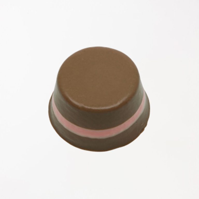Chocolate Strawberry Kiss